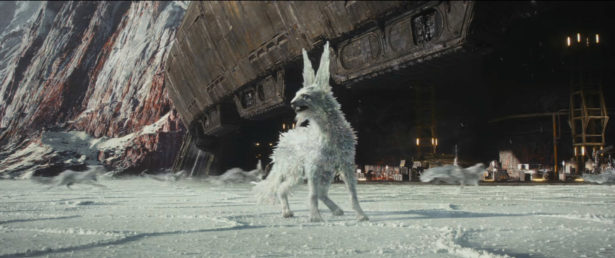 Crystal-Fox-10102017-615x258