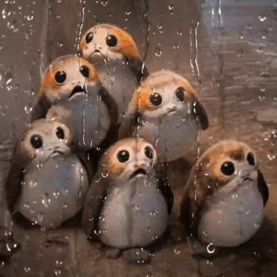porg 3.png