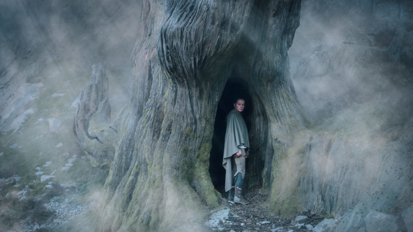 TLJ_Rey_inside_Uneti_Tree (1)
